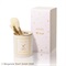 《予約開始》10月16日(金)10時～【SNIDEL BEAUTY】ブラシ キット ST＜Steiff collaboration＞